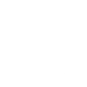 De Marne logo wit